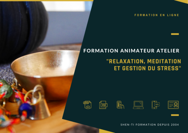 formation méditation relaxation gestion stress en ligne