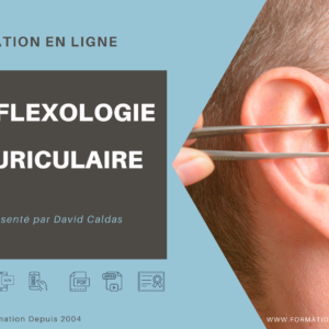 FORMATION AURICULOTHERAPIE A DISTANCE EN LIGNE E-LEARNING