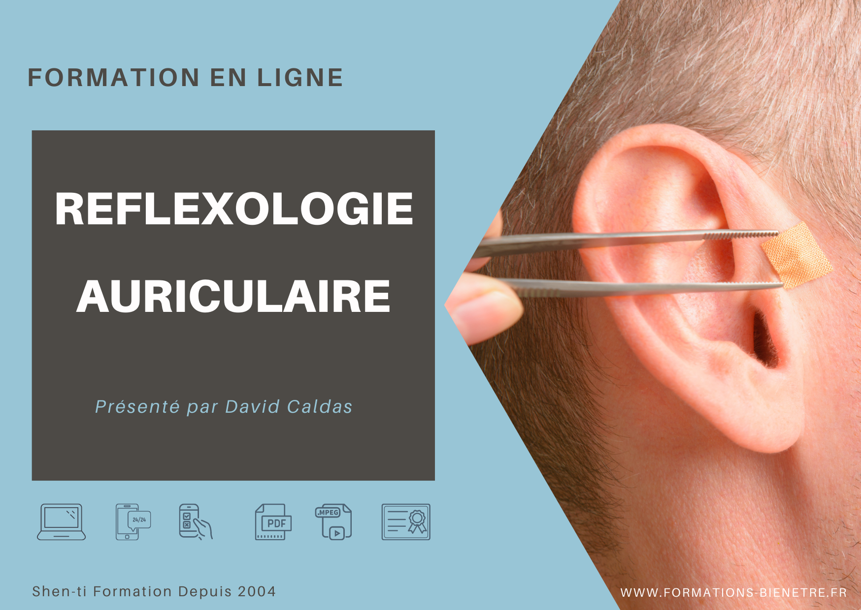 FORMATION AURICULOTHERAPIE A DISTANCE EN LIGNE E-LEARNING