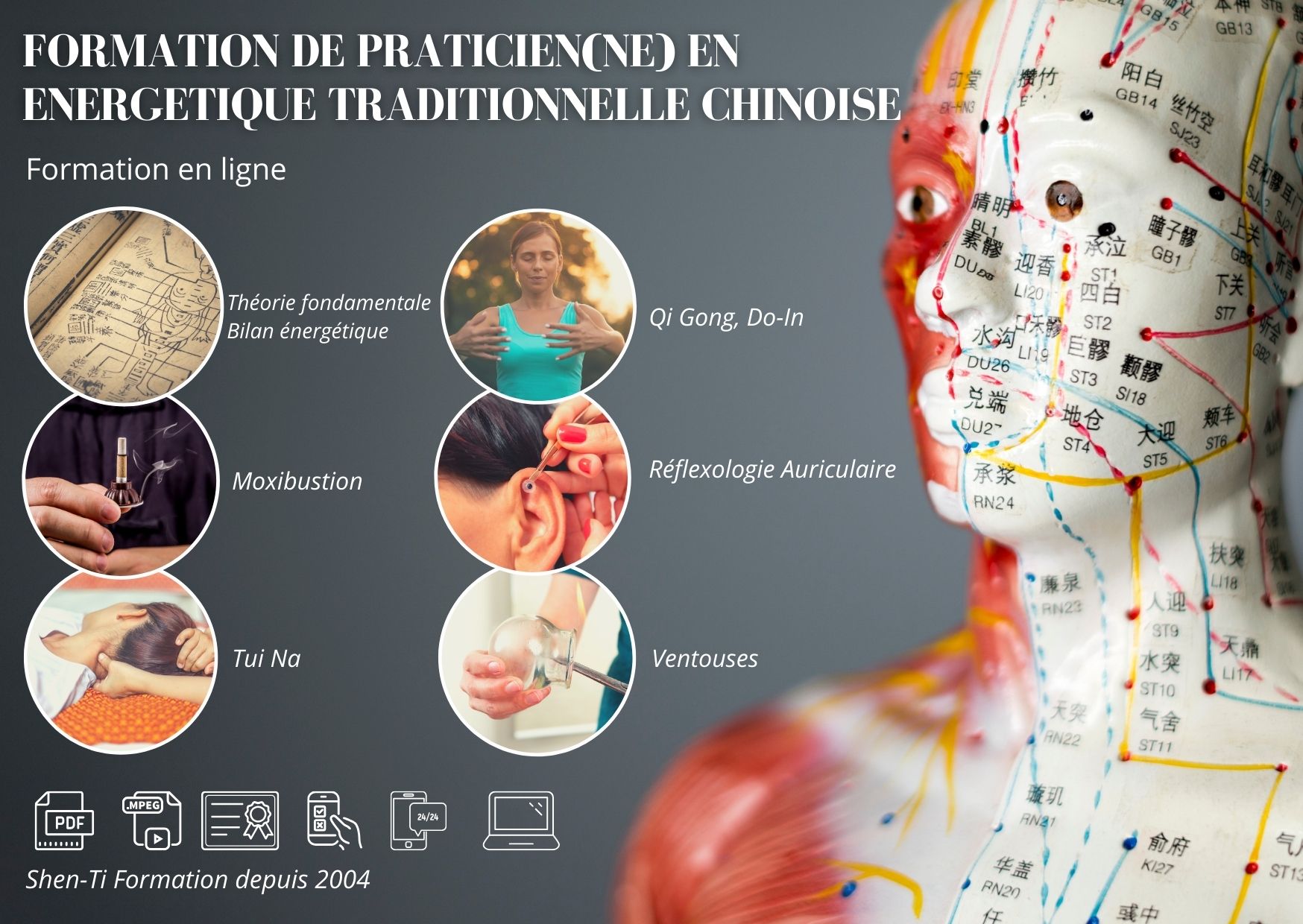 formation medecine chinoise en ligne