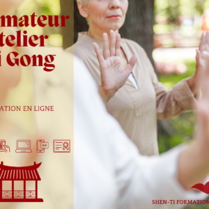 Formation animateur atelier Qi gong en ligne