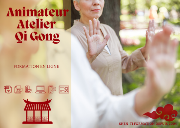 Formation animateur atelier Qi gong en ligne